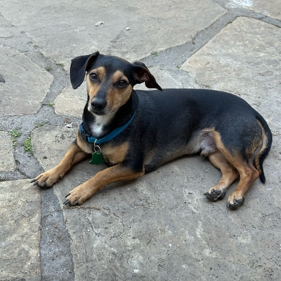 M͜͡e͜͡e͜͡t͜͡ Y͜͡o͜͡u͜͡r P͜͡o͜͡s͜͡h͜͡e͜͡r͜͡ - Picture 5 of 14